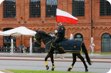 Bandera Basic Series 112.70 POL