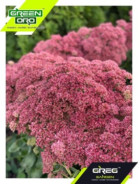 Зеленое удобрение ORO для цветущих садовых цветов