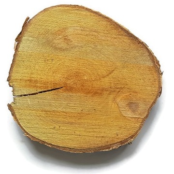 Plastry drewna 7 szt na ścieżkę ogrodową 15-20 cm