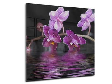 dekor szkło panel hartowany HD 50x50 storczyk