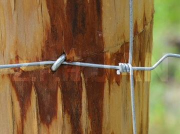 ЗАБОРЫ ЗАБОР ИЗ ЛЕСНОЙ СЕТКИ ЗАБОР 50М РУЛОННАЯ ОЦИНКОВАННАЯ ПРОВОЛОКА