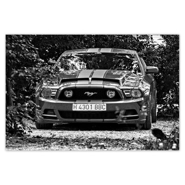 Plakaty 120x80 Ford Mustang