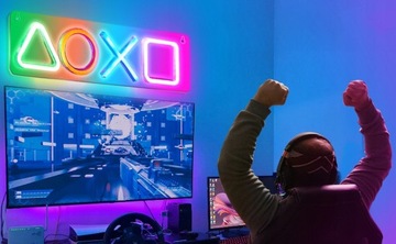 БОЛЬШОЙ НАСТЕННЫЙ USB-ПАКЕТ ПРЕМИУМ С НЕОНОВОЙ СВЕТОДИОДАМИ ДЛЯ PS5 PS4