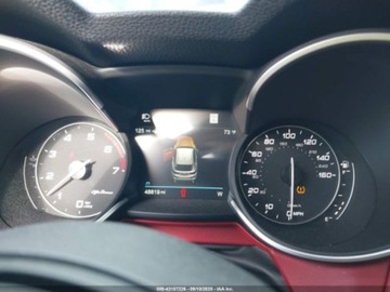 Alfa Romeo Stelvio SUV Facelifting 2.0 Turbo 280KM 2021 Alfa Romeo Stelvio Ti 2021 2.0l 2.0 Benzyna 280KM, zdjęcie 10