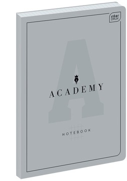Interdruk Zeszyt B5 60kartek w kratkę 90G ACADEMY