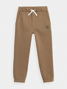 ДЕТСКИЕ СПОРТИВНЫЕ БРЮКИ 4F ДЛЯ МАЛЬЧИКОВ, ХЛОПОК AW23M419