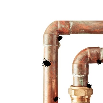 СПРЕЙ ЖИДКИЙ ПРЕПАРАТ ОТ КЛОПОВ МУРАВЬЕВ БЛОХ ТАРАКАНОВ 50 МЛ СИЛЬНЫЙ