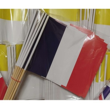 EKO chorągiewki świata Francja 25 szt