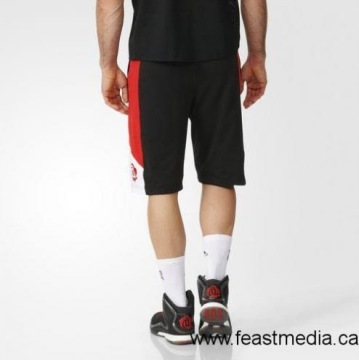 Шорты Adidas NBA Derrick Rose AX7843