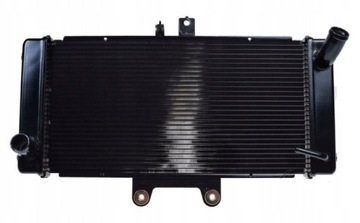 ВОДЯНОЙ ОХЛАДИТЕЛЬ SUZUKI GSF650 Bandit 07-13