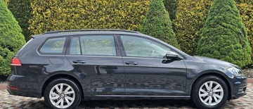 Volkswagen Golf VIII Hatchback 2.0 TDI SCR 115KM 2019 Volkswagen Golf Niski przebieg 88 tys,1.6 Diesel, Faktura,Polecam 2.0, zdjęcie 10