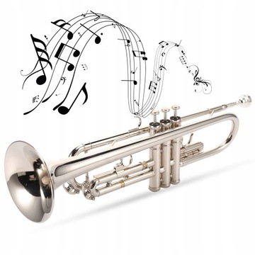 Стандартная труба Bb с посеребренным мундштуком.