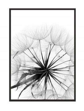 OBRAZ, PLAKAT W RAMIE 33x43 cm Dmuchawiec P505