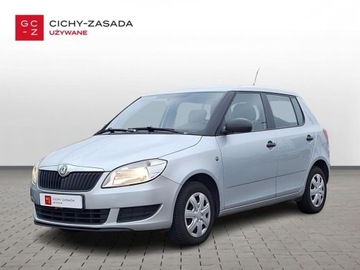 Skoda Fabia II 2010 Skoda Fabia Active 1,2 MPI 75KM FV-vat marza Przebieg 133000KM 2.0