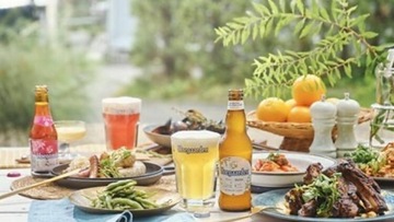 HOEGAARDEN BEER Бокал 25кл НОВЫЙ Бельгия