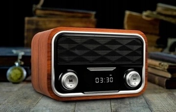 DexXer FM РАДИО FM USB-радио с питанием от сети и аккумулятором