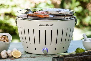 БЕЗДЫМНЫЙ УГОЛЬНЫЙ ГРИЛЬ LOTUSGRILL ПОРТАТИВНЫЙ СОВРЕМЕННЫЙ СТАНДАРТ ПЛЮС СУМКА