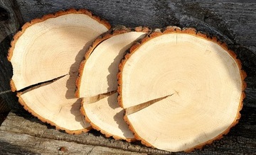 срезы дерева, срез дуба, продажа срезов, 20-25 см.