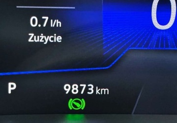 Volkswagen Taigo 2024 Volkswagen Taigo LED Kamera Park Assist Side Assist Gwarancja 2027 Sa, zdjęcie 31