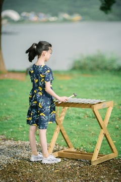 CLASSIC WORLD EDU Музыкальный инструмент Ксилофон Большие тарелки