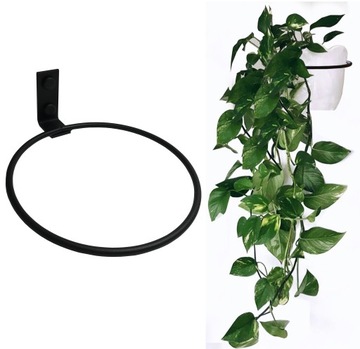 НАСТЕННЫЙ ДЕРЖАТЕЛЬ ДЛЯ ЦВЕТОЧНОГО ГАЗОНА ПОДСТАВКА ДЛЯ ЦВЕТОВ ВЕСЕЛКА ДЛЯ ЦВЕТОВ МЕТАЛЛ 16 СМ, 3 шт.