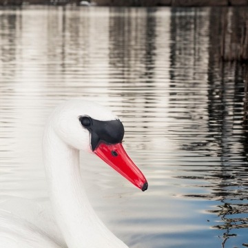 ŁABĘDŹ PLASTIK FIGURA PŁYWAJĄCA ŁABĘDZIA FIGURKA DO STAWU OCZKA OZDOBA