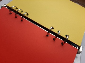 ЦВЕТНАЯ вставка в блокнот-планировщик 6 А5 INTENSIV RINGS