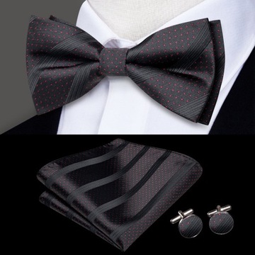 Elegancki zestaw Mucha Poszetka Spinki wys24