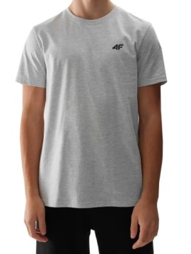 МУЖСКАЯ ФУТБОЛКА 4F МАЙКА СПОРТИВНАЯ БЛУЗКА НА КАЖДЫЙ ДЕНЬ