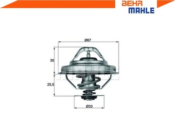 ТЕРМОСТАТ [БЕР]