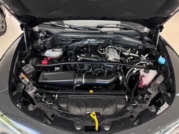 Alfa Romeo Stelvio SUV Facelifting 2.0 Turbo 280KM 2020 Alfa Romeo Stelvio Veloce Q4 / 1 właściciel / Salo, zdjęcie 18