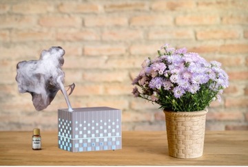 AROMA CUBE ECO король масляных диффузоров без бюстгальтера