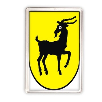 magnes akrylowy Kałuszyn