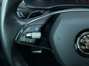 Skoda Octavia IV Kombi 2.0 TDI SCR 200KM 2022 Skoda Octavia 2.0TDI 200KM Scout 4X4 DSG l LED Mat, zdjęcie 16