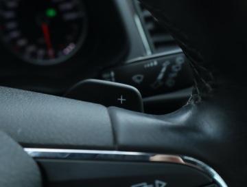 Seat Leon III 2019 Seat Leon 2.0 TDI, DSG, Skóra, Navi, Klima, zdjęcie 21
