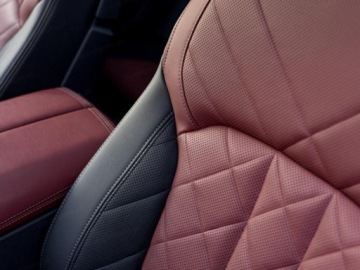 BMW X6 G06 SUV Facelifting 3.0 40i 381KM 2026 BMW X6 xDrive40i Sport Suv 3.0 (381KM) 2026, zdjęcie 7