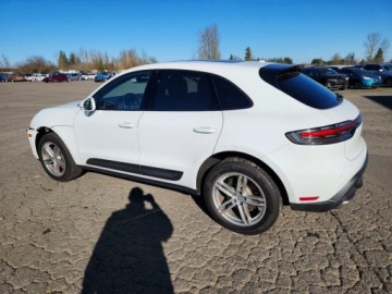 Porsche Macan 2024 Porsche Macan Base 2024 2.0 Benzyna 261KM, zdjęcie 1