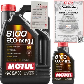 MOTUL 8100 ECO-NERGY 5W30 A5/B5 6L FORD WSS-M2C913-D + ZAWIESZKA