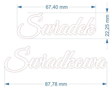 Зеркальные надписи Свидетель Свидетеля 1 шт.