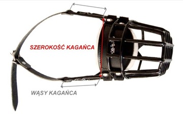 Собака Chopo Muzzle Physiologic Родезийский риджбек