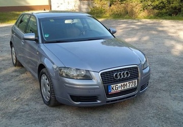 Audi A3 8P Hatchback 3d 1.6 FSI 115KM 2005 Audi A3 1,6 Benzyna 5 Drzwi Klima El szyby ..., zdjęcie 26