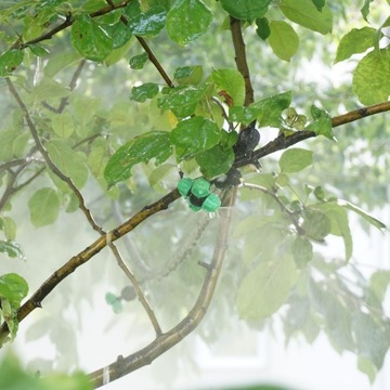 КОМПЛЕКТ: Микроразбрызгиватель Fogger Распылитель Fogger + шланг + загрузка + клапан