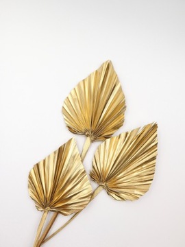 Пальмовый лист, золотистый цвет, сушки для торта, экзотические сухофрукты.