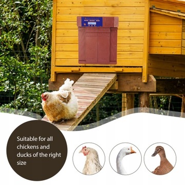 Автоматическое закрытие дверей курятника