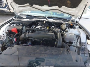 Ford Mustang VI 2024 Ford Mustang Ecoboost Fastback 2024 2.3l 2.3 Benzyna 315KM, zdjęcie 9