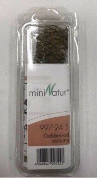 Późnojesienna nawłoć (15x4 cm)