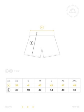 Шорты MANTO MMA/Грэпплинг DEBZA L
