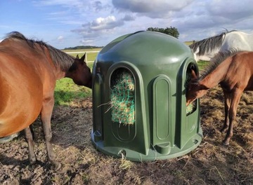 кормушка колокольного типа для лошадей с сеткой медленного кормления