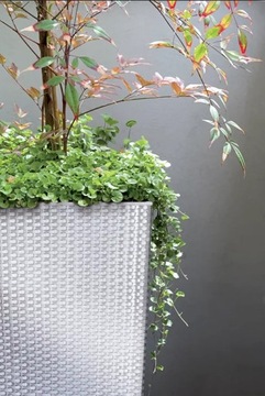 УЛИЧНЫЙ ЦВЕТОЧНЫЙ ВАЗ ИЗ РОТЕГА, БЕЛЫЙ С ВСТАВКОЙ, ВЫСОКАЯ КРЫШКА