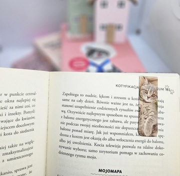 Магнитная закладка с рисунком кота, набор из 3 шт.